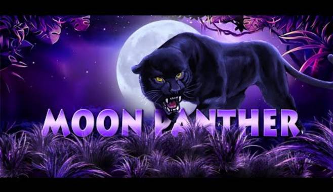 Стал доступен новый игровой автомат Panther Moon